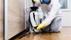 Best Pest Prevention Services  in Berryville, VA